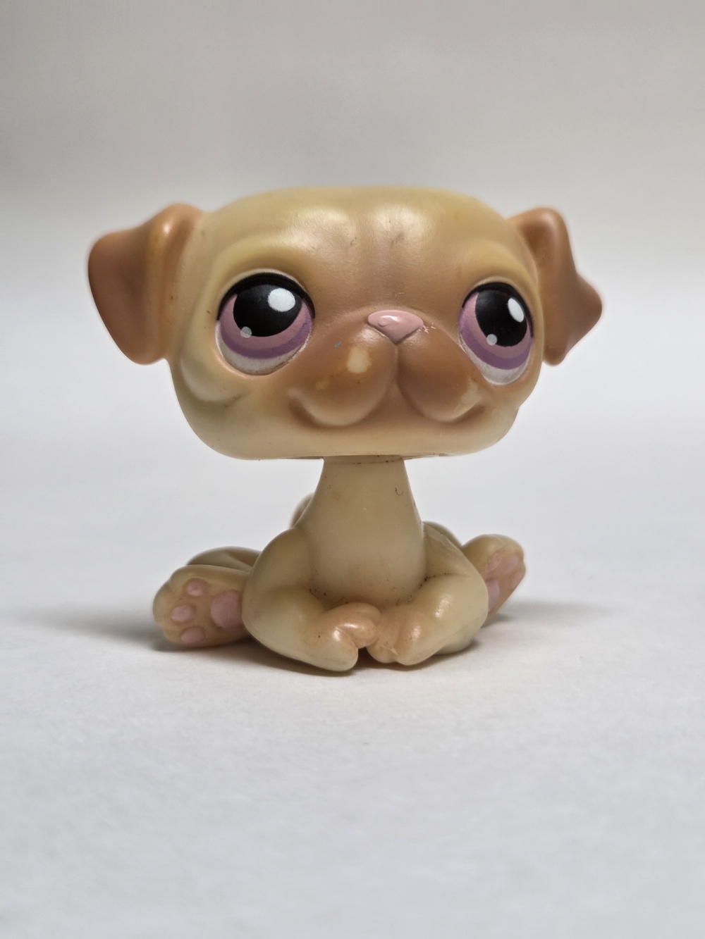 RARE Littlest Pet Shop Rare Costco Exclusive Pug Dog no # LPS